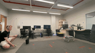 EgoIntercept animation